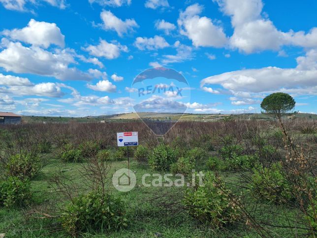 Terreno agricolo in commerciale in Strada Provinciale 67