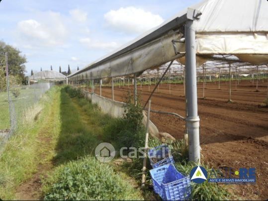 Terreno agricolo in commerciale in Via Randa