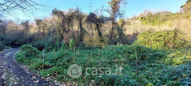 Terreno agricolo in commerciale in Via Scavolella