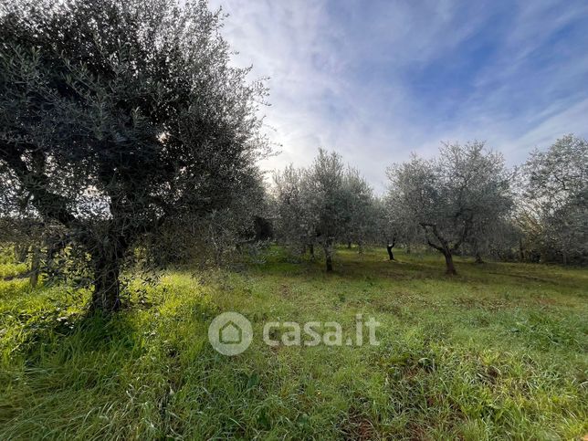 Terreno agricolo in commerciale in Via Isole