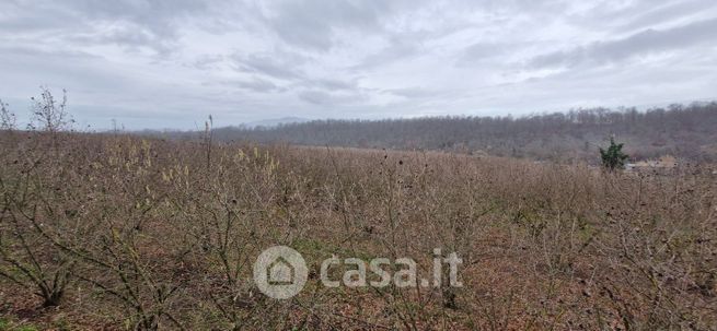 Terreno agricolo in commerciale in Località PRATO NICOLA