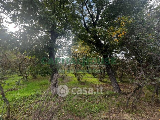 Terreno edificabile in residenziale in Via Calabricita