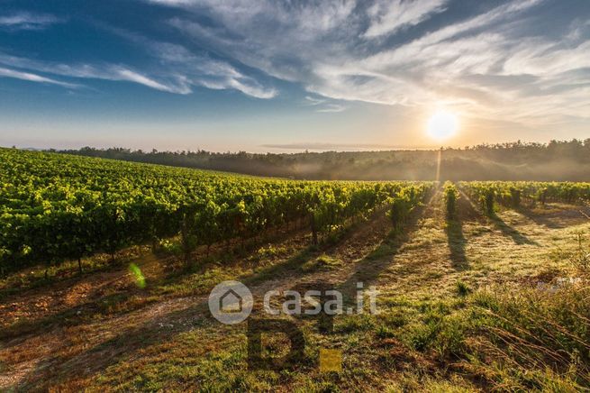 Terreno agricolo in commerciale in Località Caselle