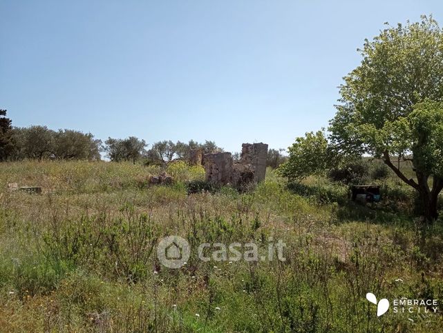 Terreno agricolo in commerciale in Contrada Vendicari