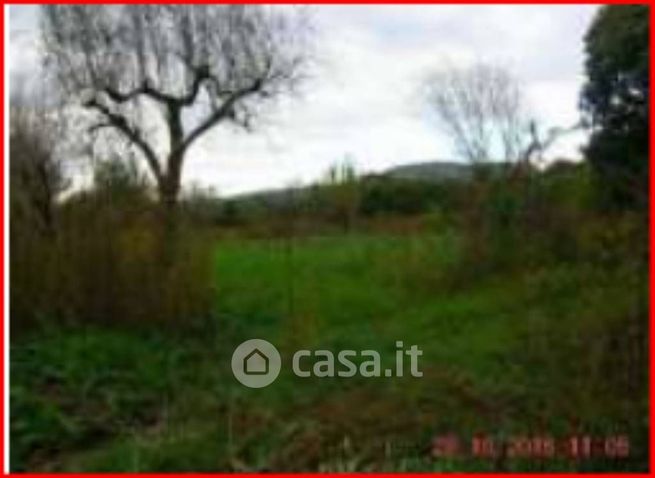 Terreno agricolo in commerciale in Contrada La Sterpina