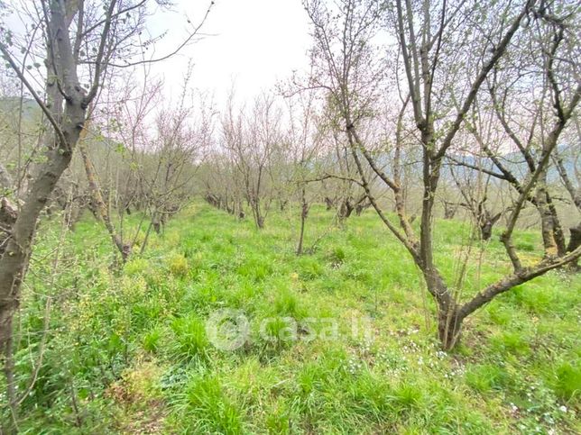 Terreno agricolo in commerciale in 