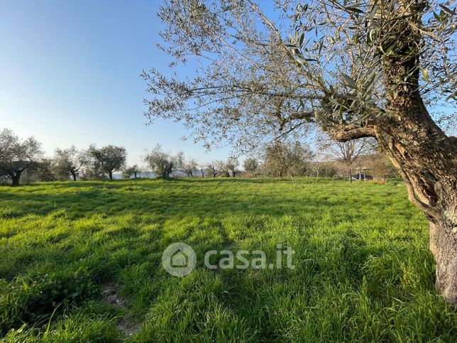 Terreno agricolo in commerciale in Via Ponton di Sopra