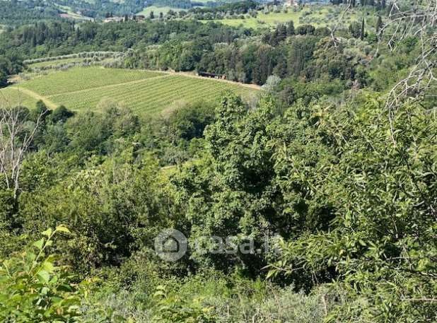 Terreno agricolo in commerciale in Via Lucardese