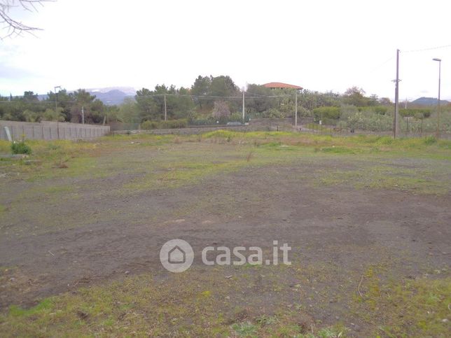 Terreno agricolo in commerciale in Via Santa Maria di Licodia