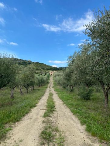 Terreno agricolo in commerciale in Via Frascinelle