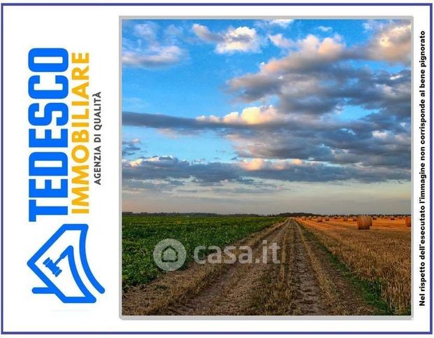 Terreno agricolo in commerciale in Via Pomigliano