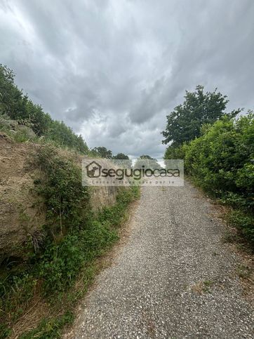 Terreno agricolo in commerciale in Vicolo della Fontana Secca