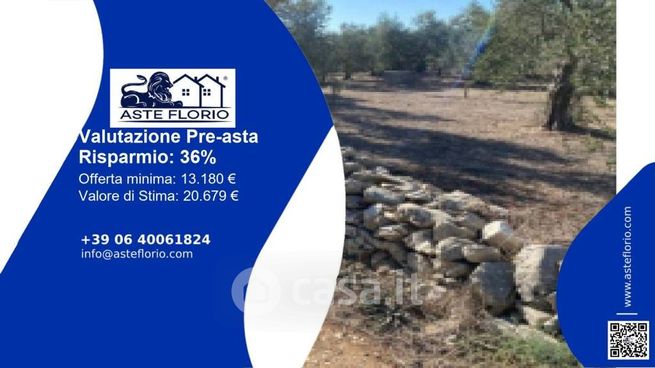 Terreno agricolo in commerciale in Strada Provinciale 56