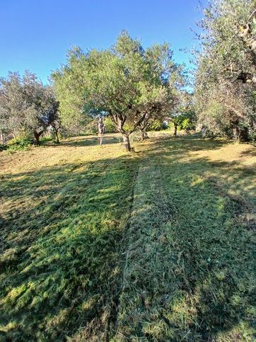 Terreno agricolo in commerciale in Via Pescara