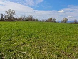 Terreno agricolo in commerciale in campagna
