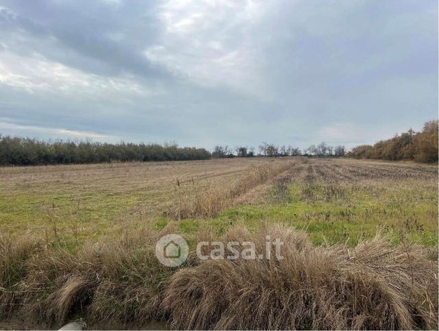 Terreno agricolo in commerciale in Via Altinate