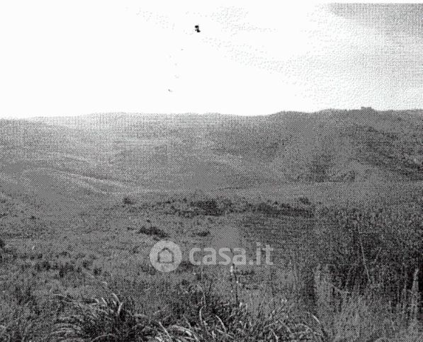 Terreno edificabile in residenziale in Strada Provinciale 172