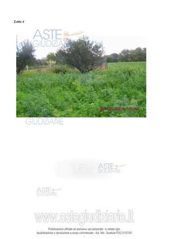 Terreno agricolo in commerciale in 