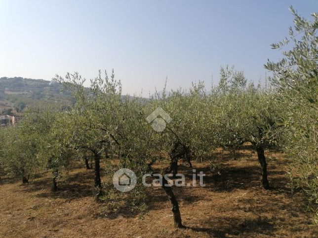 Terreno agricolo in commerciale in Via Gran Potenza 51