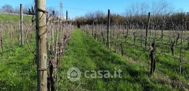 Terreno agricolo in commerciale in Via Cisa Vecchia