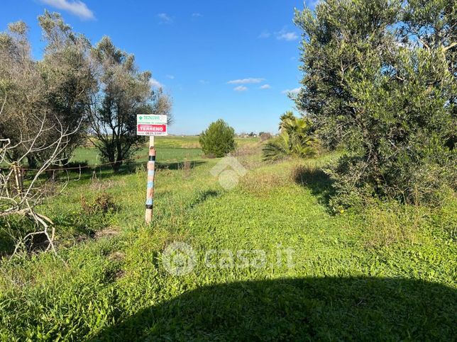 Terreno agricolo in commerciale in Via Marfeo 1