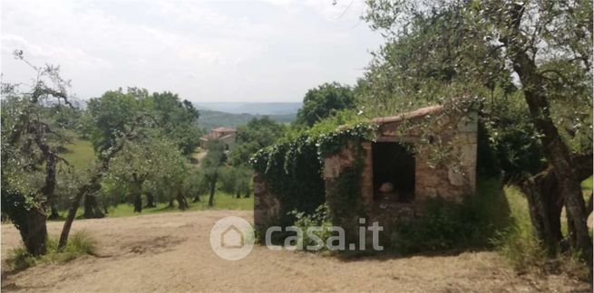 Terreno agricolo in commerciale in Via Bandita