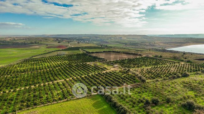 Terreno agricolo in commerciale in Strada Galerno 500