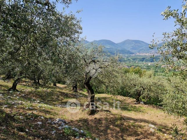 Terreno agricolo in commerciale in 