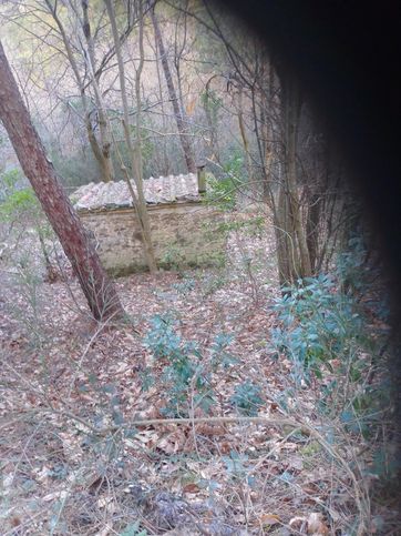 Terreno agricolo in commerciale in Prato a Sillori