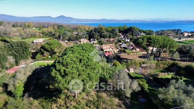 Terreno agricolo in commerciale in Vicolo della Selciatella