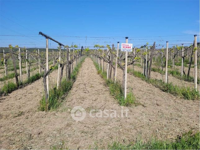 Terreno agricolo in commerciale in Strada Provinciale 231