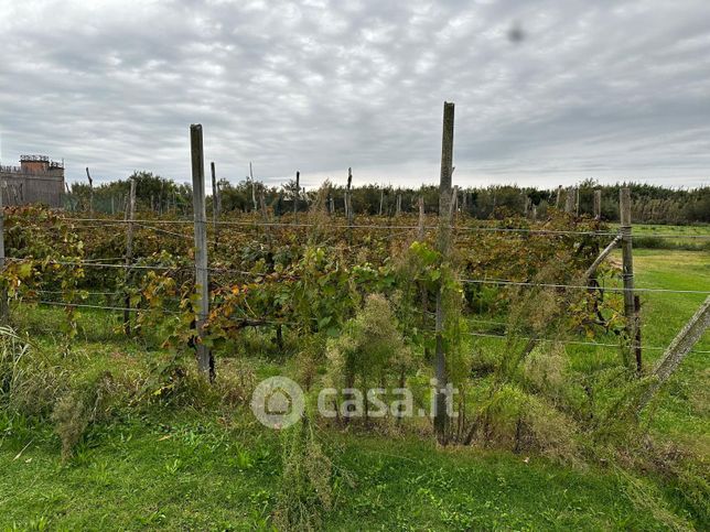 Terreno agricolo in commerciale in Via Alberoni