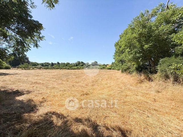 Terreno agricolo in commerciale in Via Rio Vicano