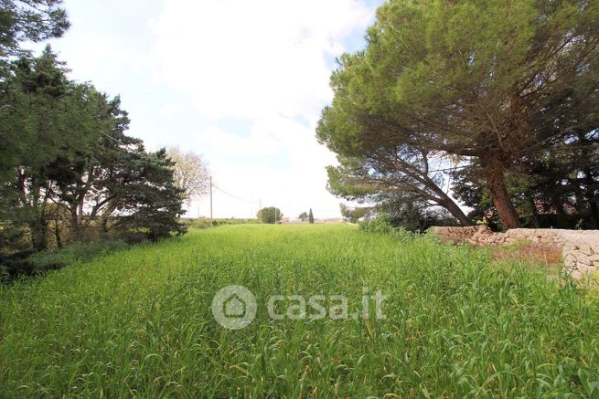 Terreno agricolo in commerciale in Via Fallira 2