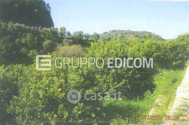 Terreno agricolo in commerciale in Contrada Madonna