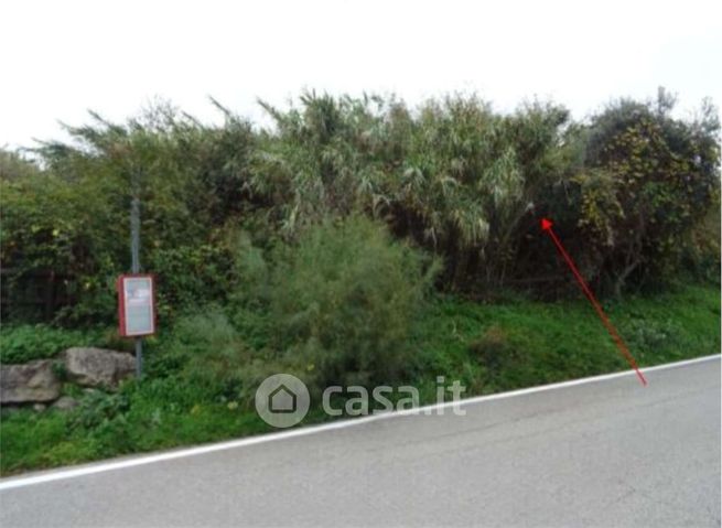 Terreno agricolo in commerciale in Via San Lorenzo in Correggiano