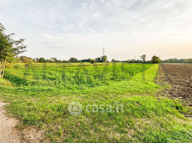 Terreno agricolo in commerciale in Via Campagnola