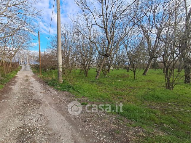 Terreno agricolo in commerciale in Via Tavernanova