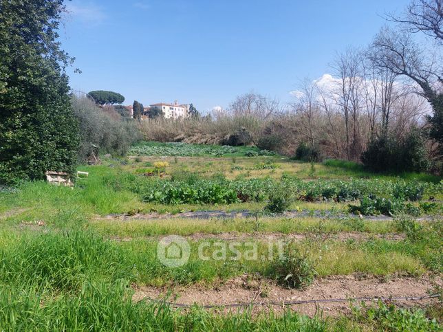 Terreno agricolo in commerciale in Via del Ponte 15