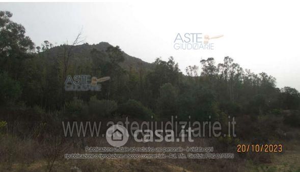 Terreno agricolo in commerciale in Via San Pietro