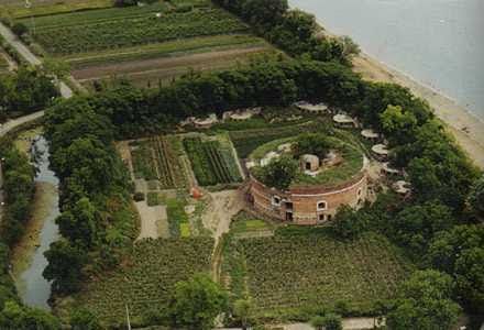 Terreno agricolo in commerciale in Via dei Forti 13