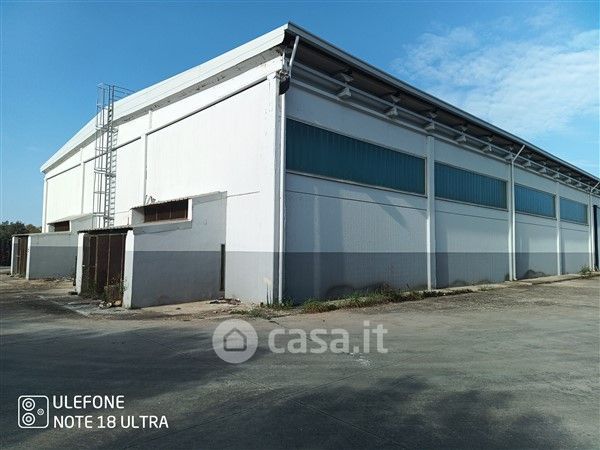 Capannone in commerciale in loc. punta e mulinu 24