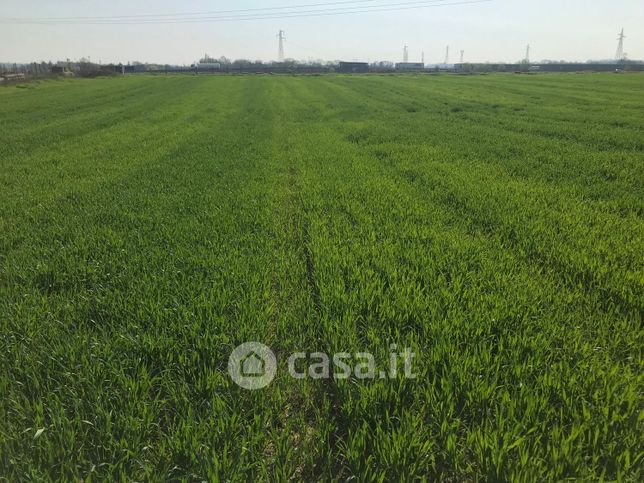 Terreno agricolo in commerciale in Via Albara