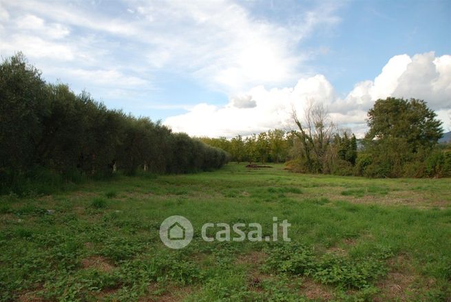 Terreno agricolo in commerciale in Via Cisternense