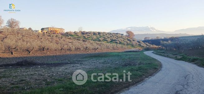 Terreno agricolo in commerciale in Contrada Fiorano