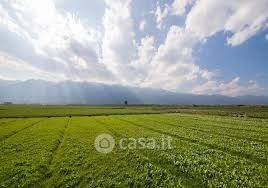 Terreno agricolo in commerciale in Via Bicocchino