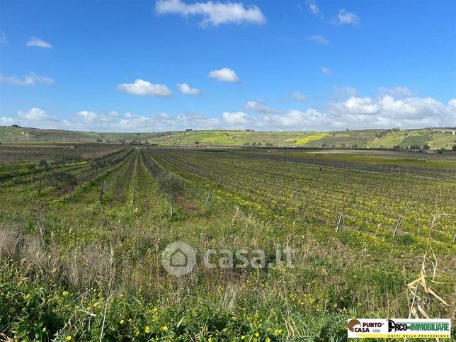 Terreno agricolo in commerciale in 