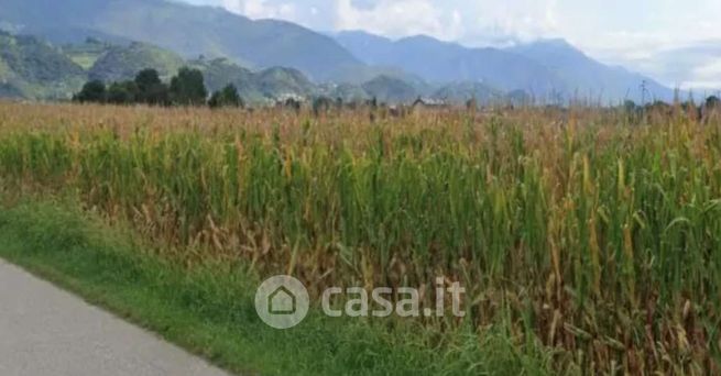 Terreno agricolo in commerciale in Via Boscaglie