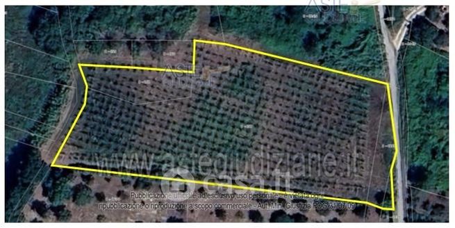 Terreno agricolo in commerciale in 
