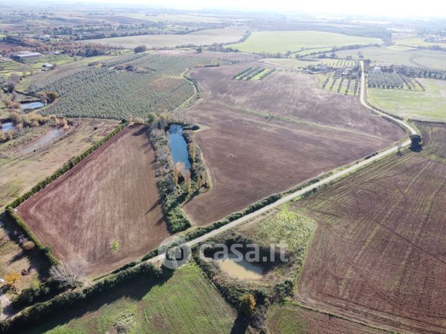 Terreno edificabile in residenziale in Strada Poggio Pelato 19